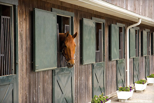 289-Buenos Aires_Villa Maria_horse stable2_estanciavillamaria.com_500px.jpg